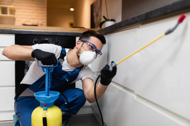Best Flea Control Services  in West Whittier Los Nietos, CA