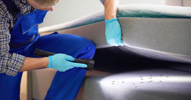 Best Pest Inspection Near Me  in West Whittier Los Nietos, CA