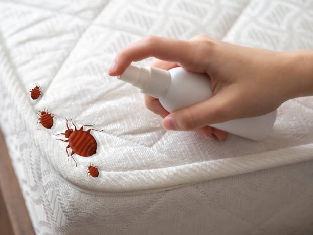 Best Pest Prevention Services  in West Whittier Los Nietos, CA